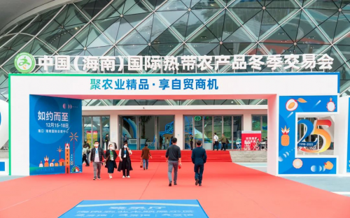 第25届海南冬交会，三亚馆“新奇特优”热门不断！